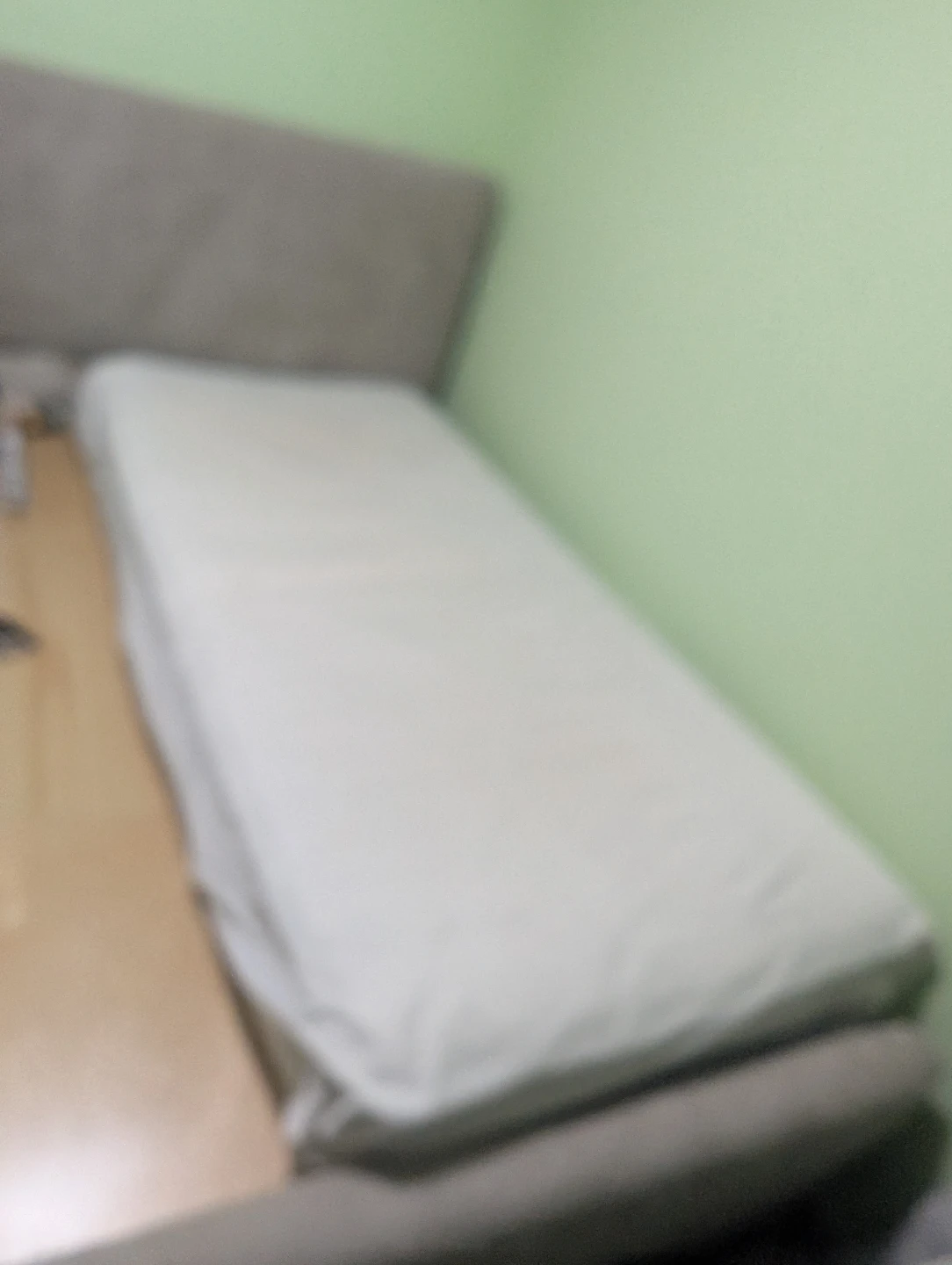 Single mattress with protector - photo 2