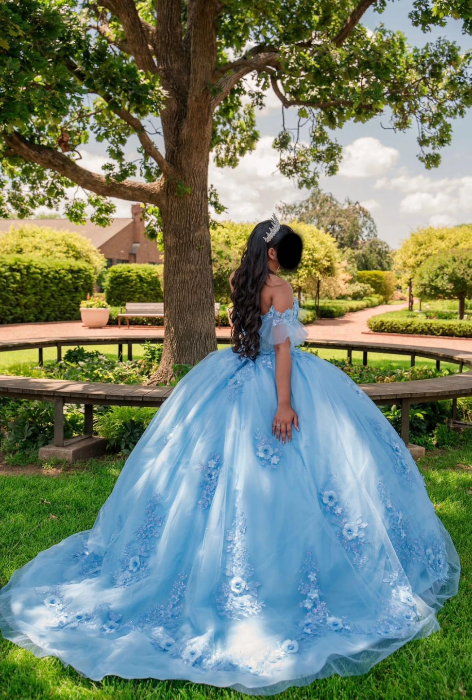 Baby blue quinceañera dress with floral touches - photo 3