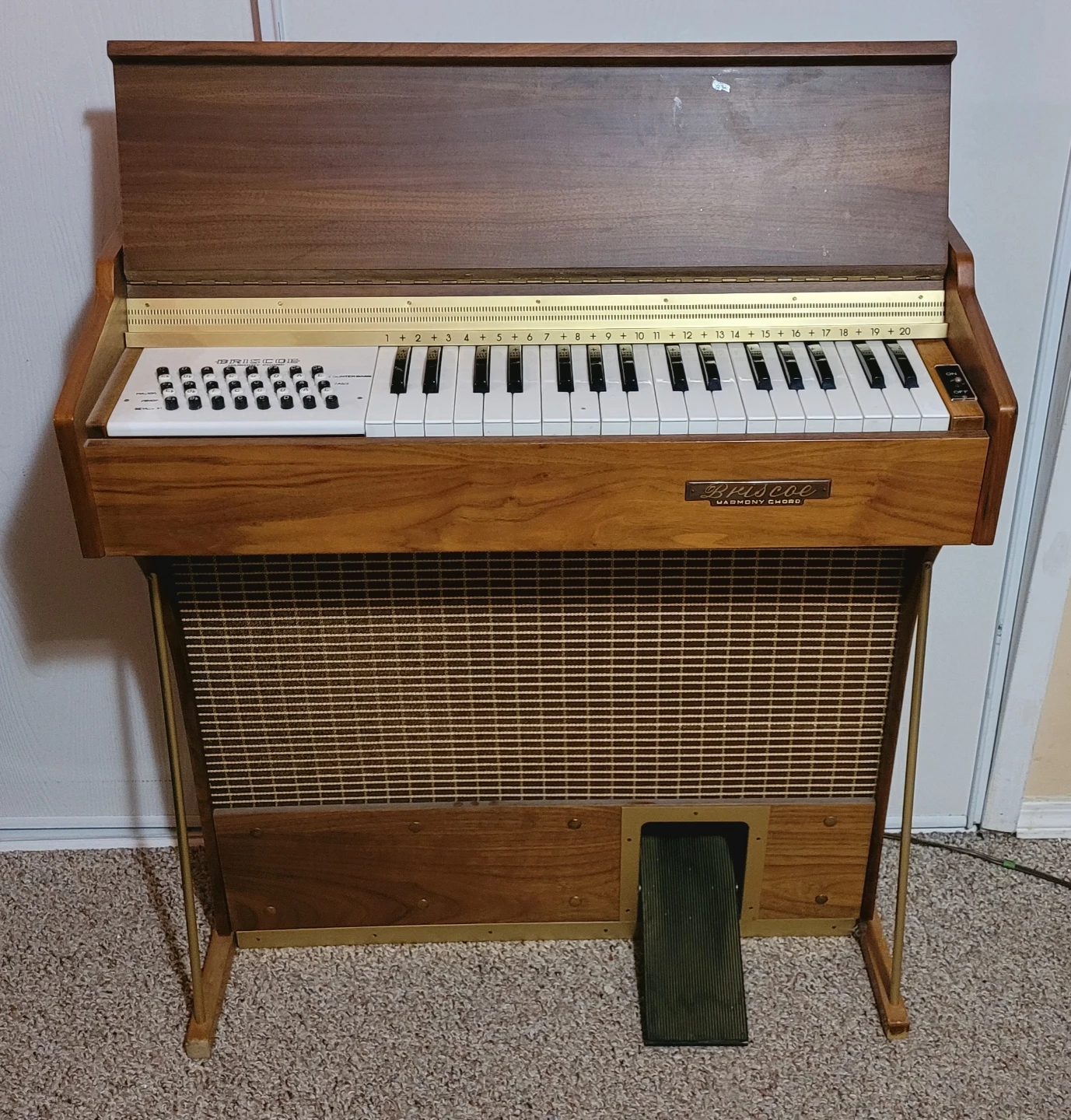 Briscoe Harmony Chord Small Organ