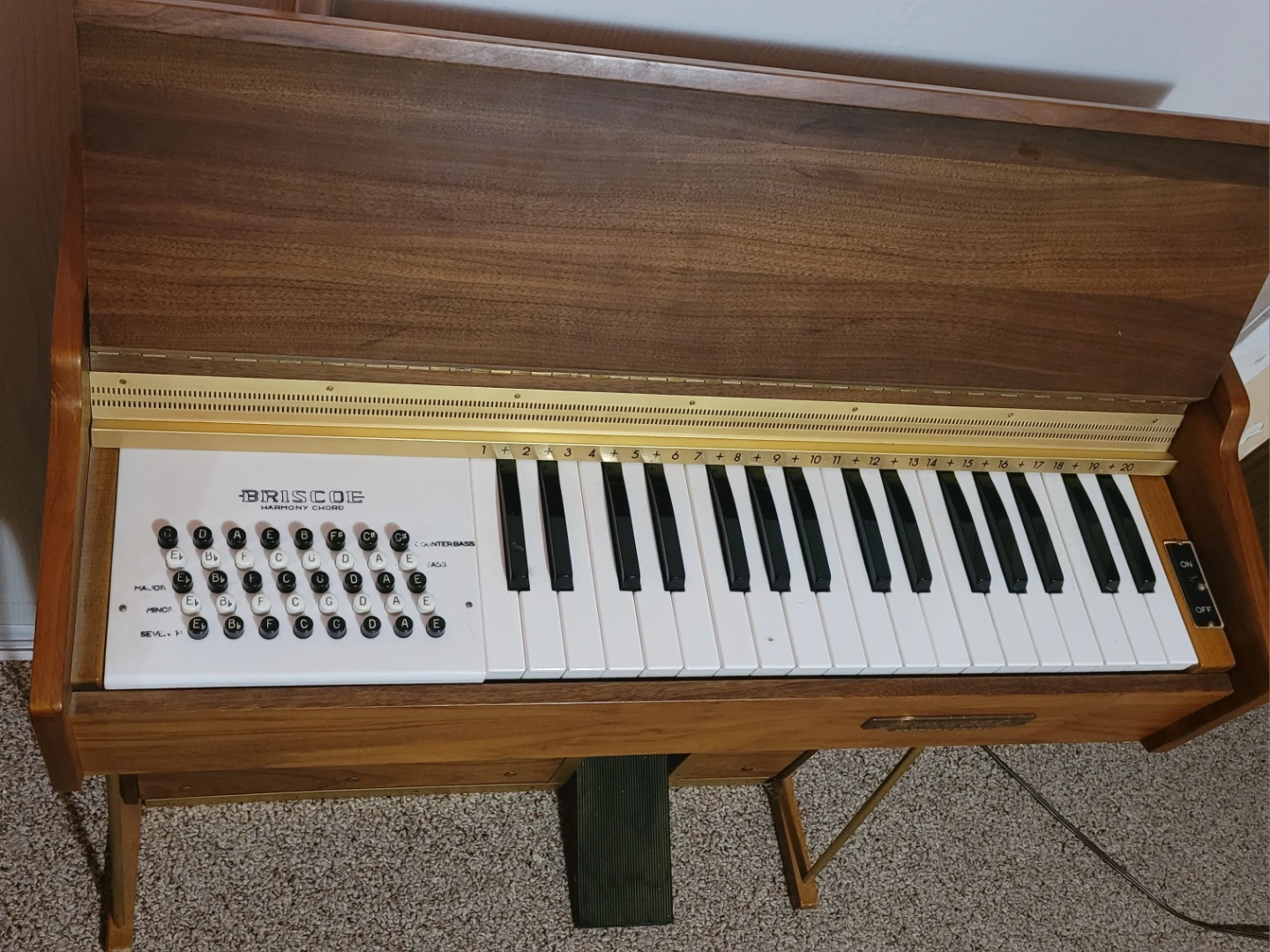 Briscoe Harmony Chord Small Organ - photo 2