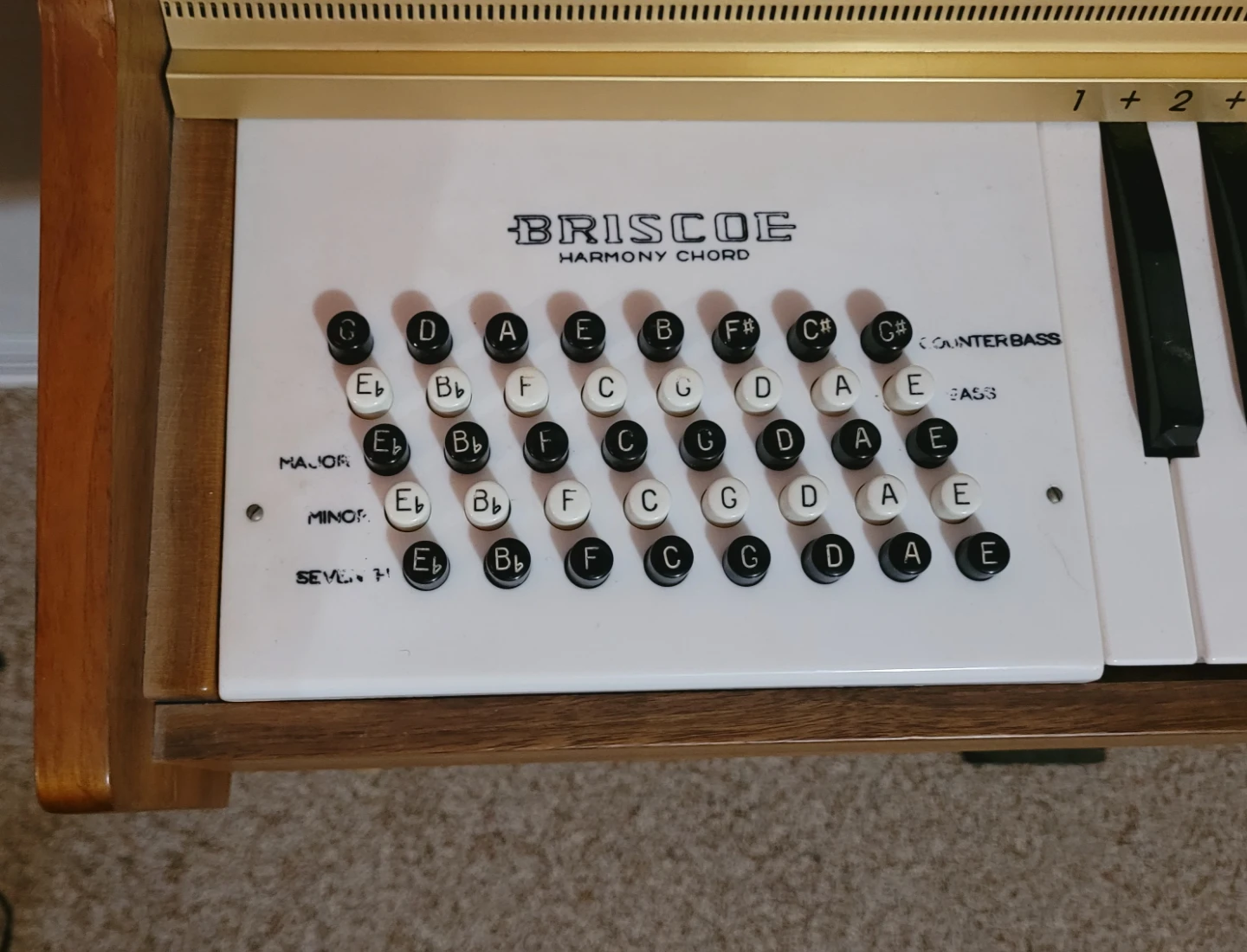 Briscoe Harmony Chord Small Organ - photo 3