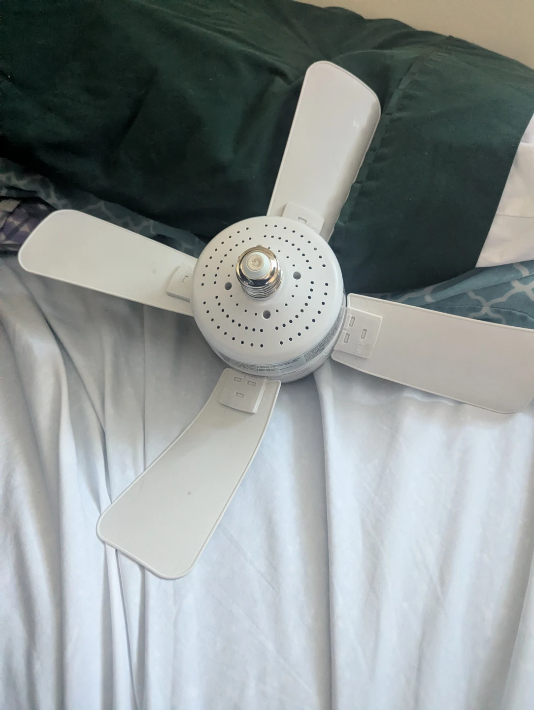 🌱Light bulb fan