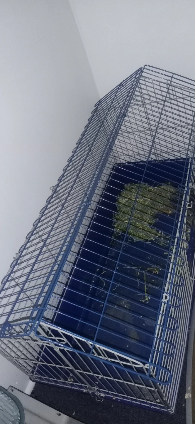 Blue Pet Cage Used