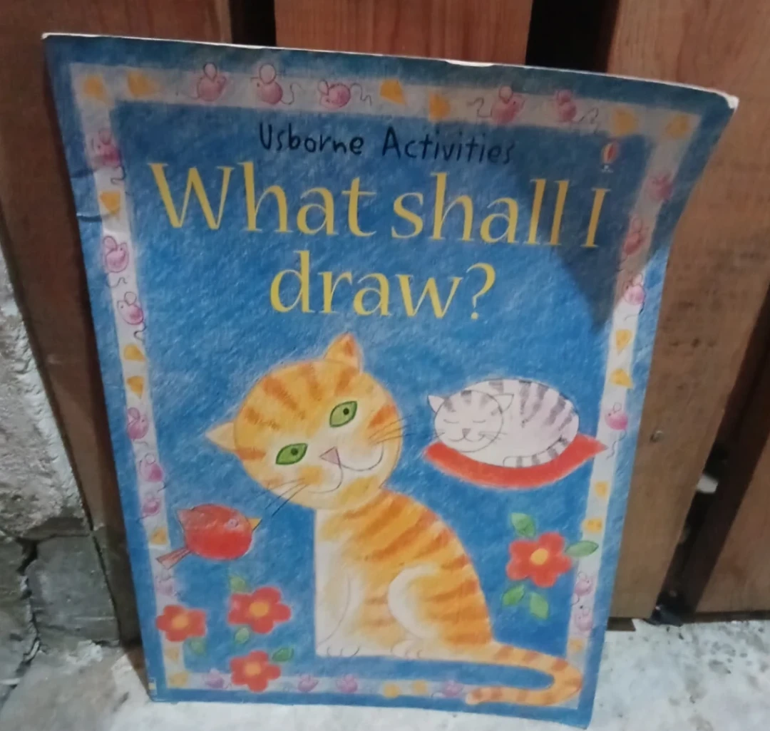 Kids Usborne Drawing Activity Books - photo 3