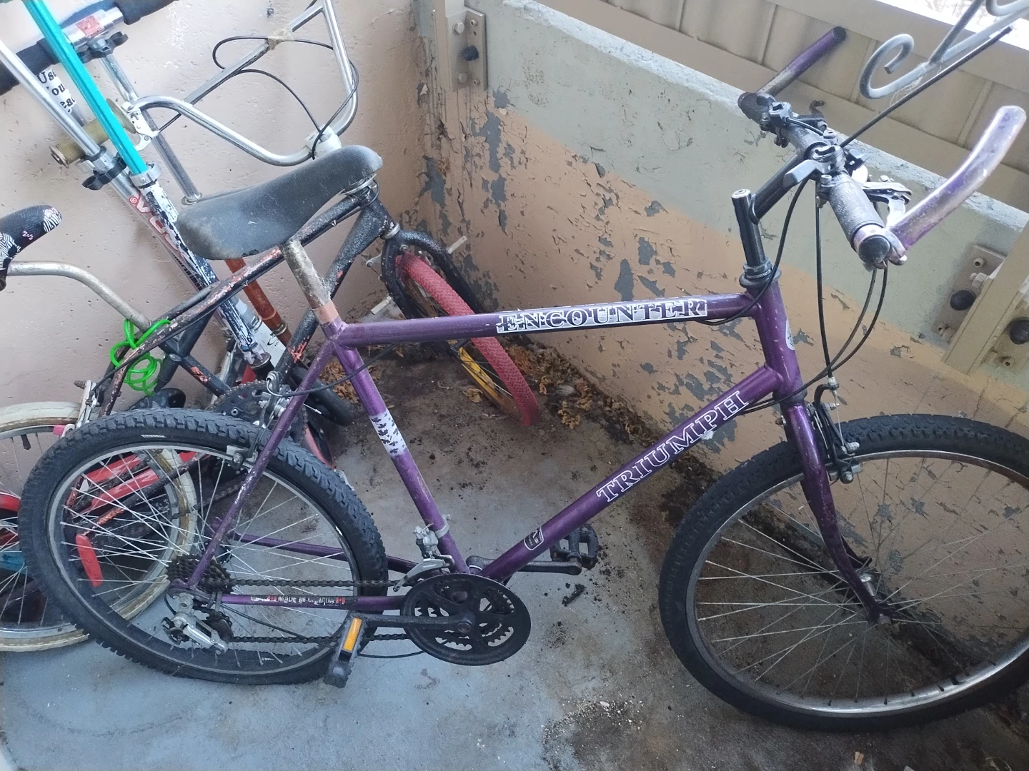 LAST bicycle NEED GONE ASAP
