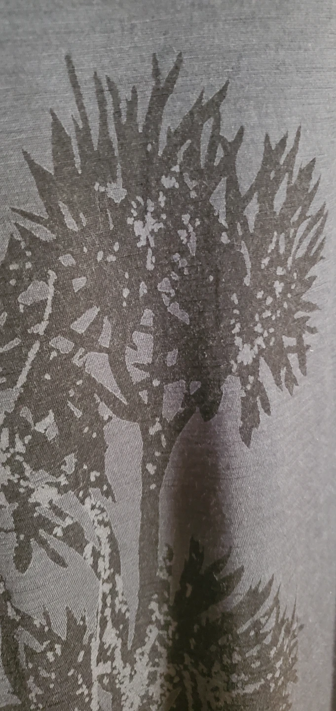 Icebreaker Merino T-Shirt - photo 2