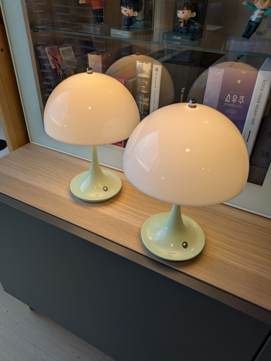 Set of 2 Mushroom Shaped Portable Rechargeable Lamps - photo 3
