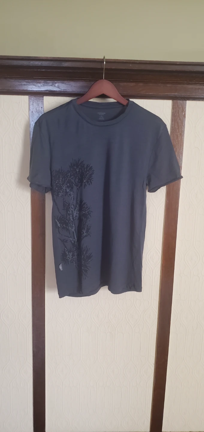 Icebreaker Merino T-Shirt