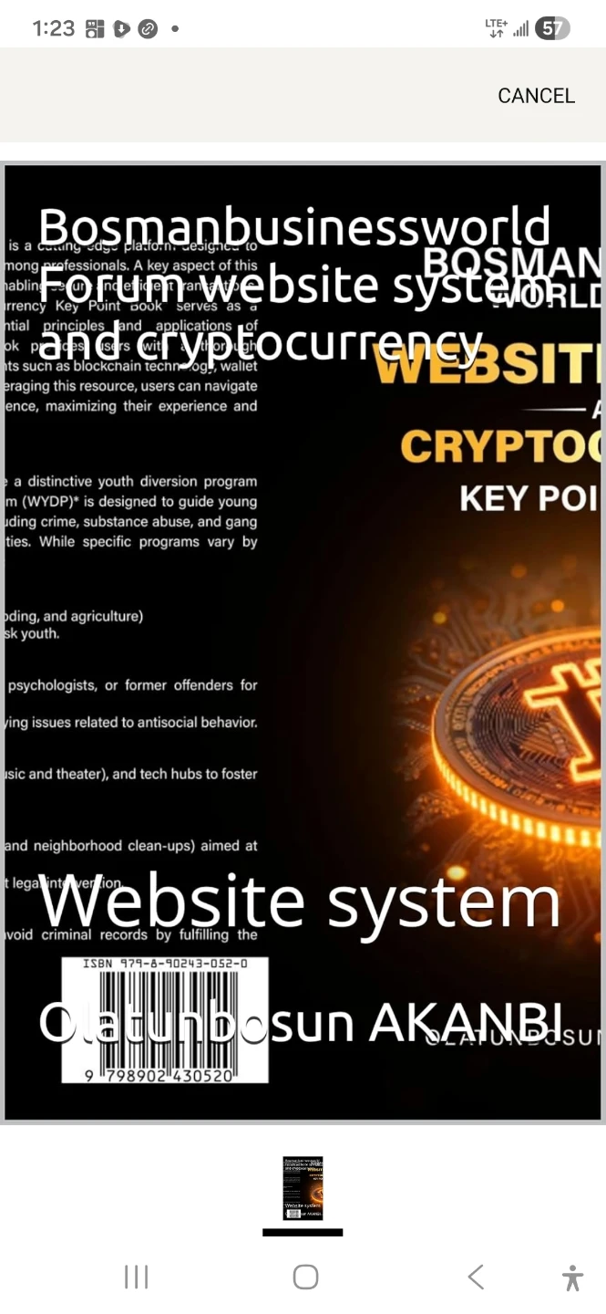 Website System and Cryptocurrency Key Points Book