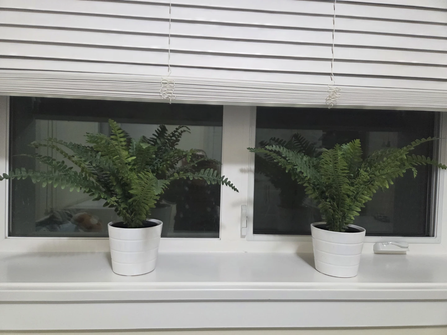 Set of 2 Artificial Fern Plants in White Pots