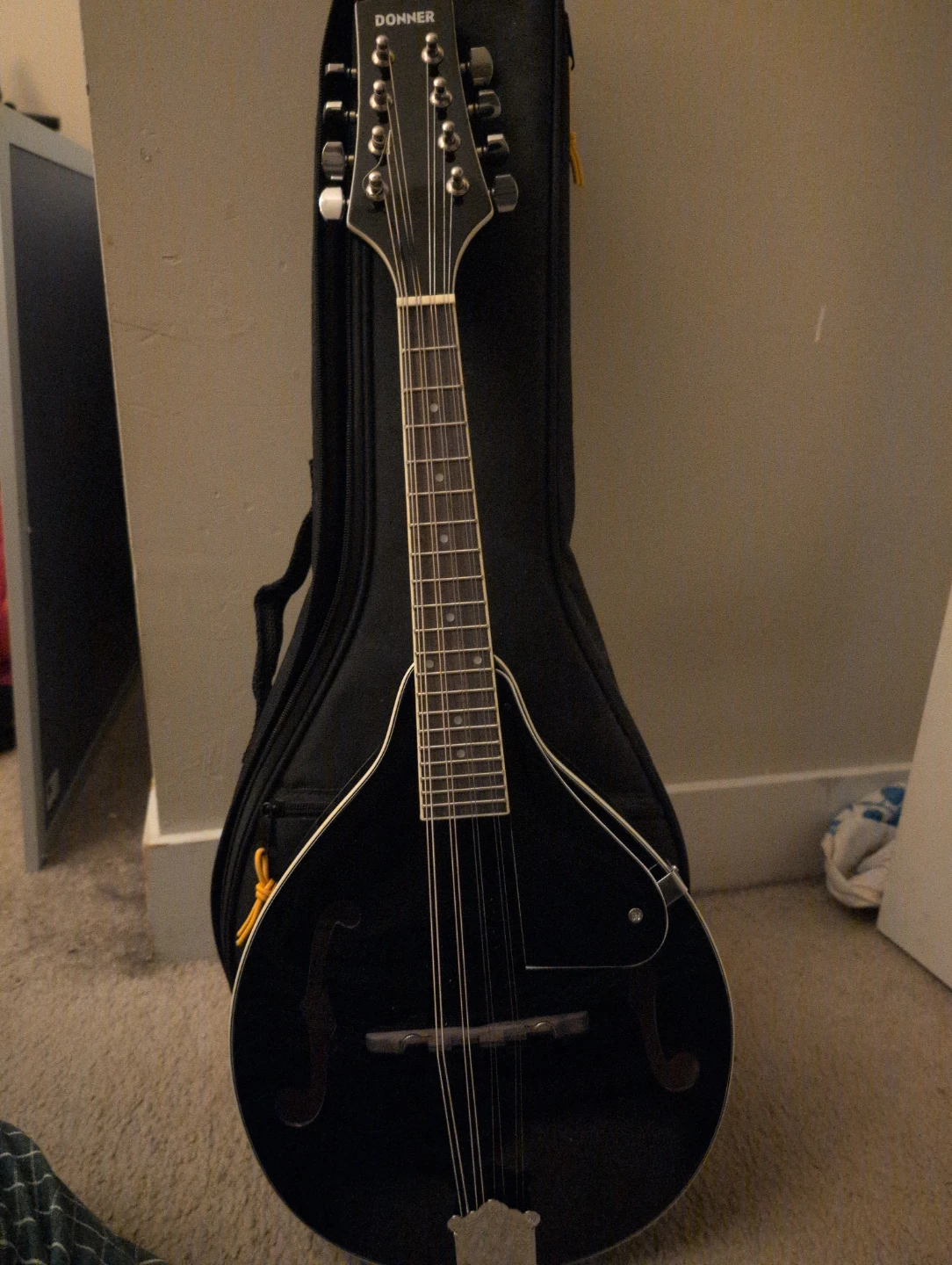 Donner Mandolin with Gig Bag