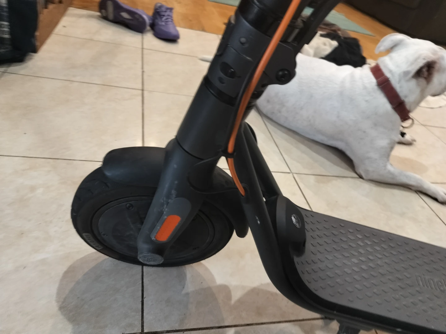 Ninebot Electric Scooter - photo 2