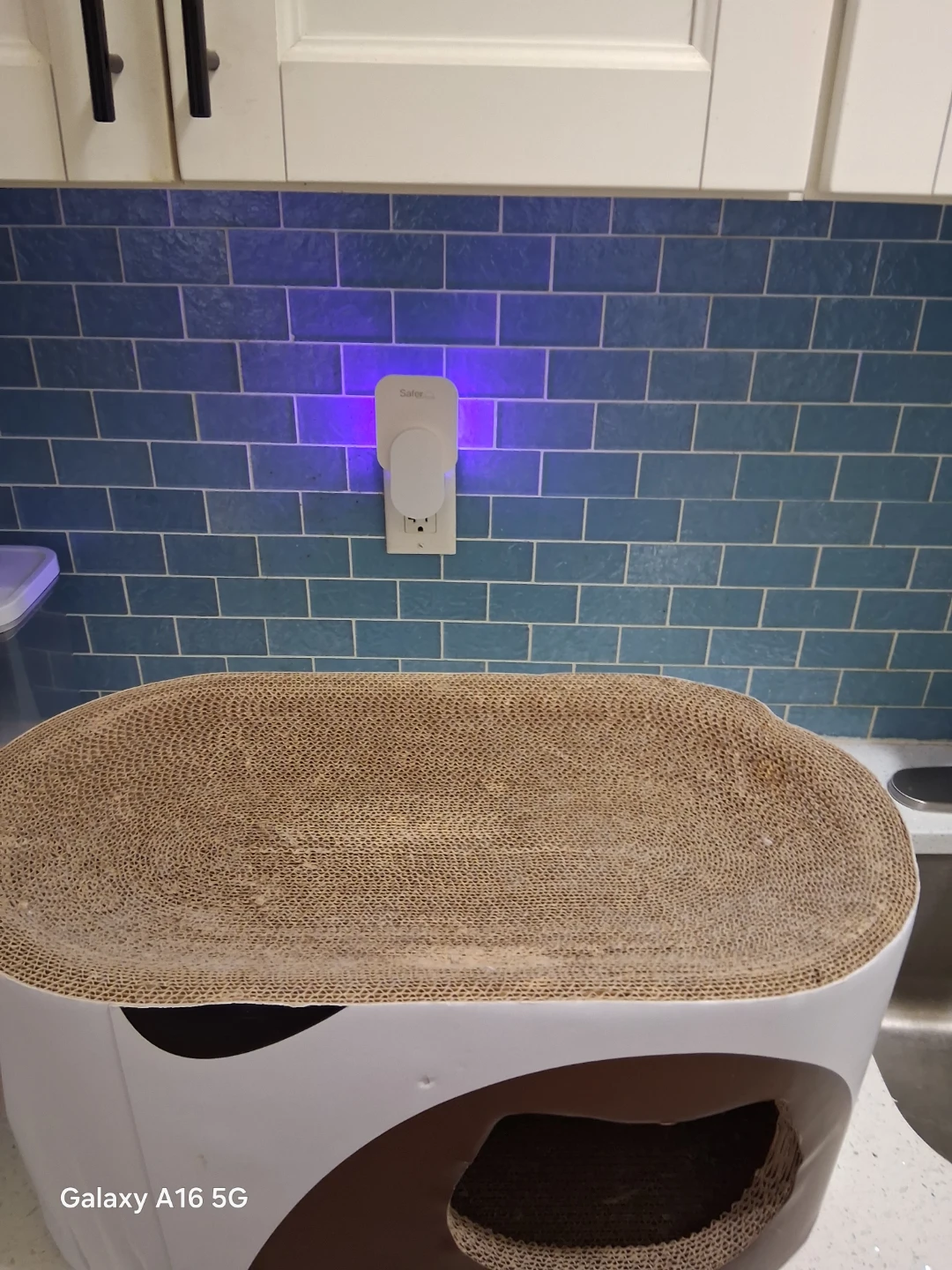 Cardboard Cat Scratcher Condo with Cut-out Entrance - photo 5