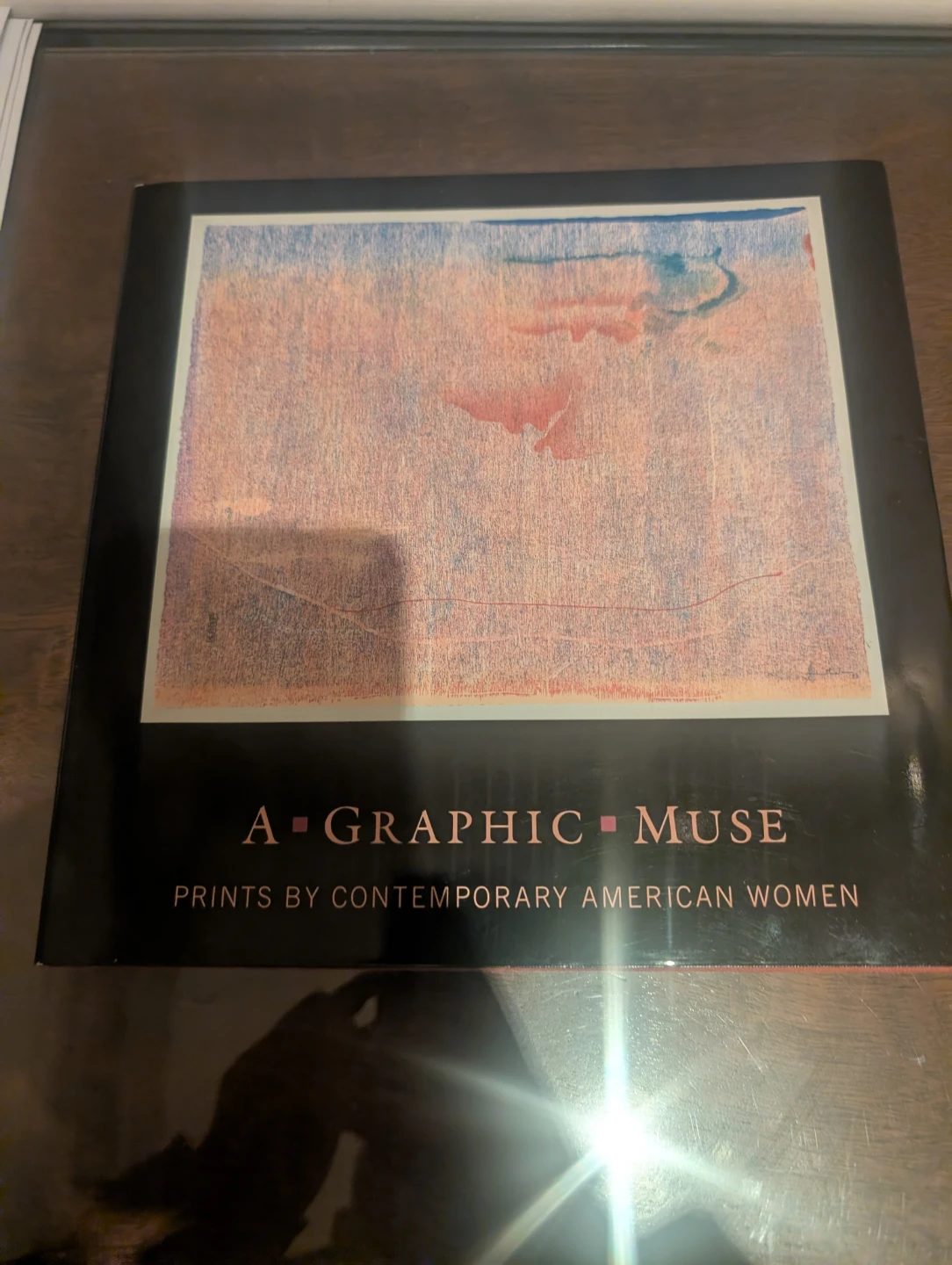 A Graphic Muse: Prints by Contemporary American Women Book
