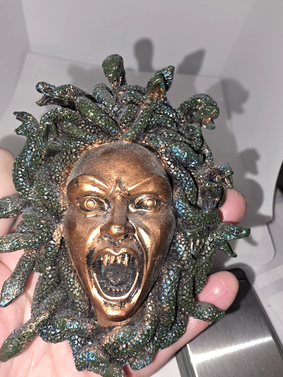 Medusa Head