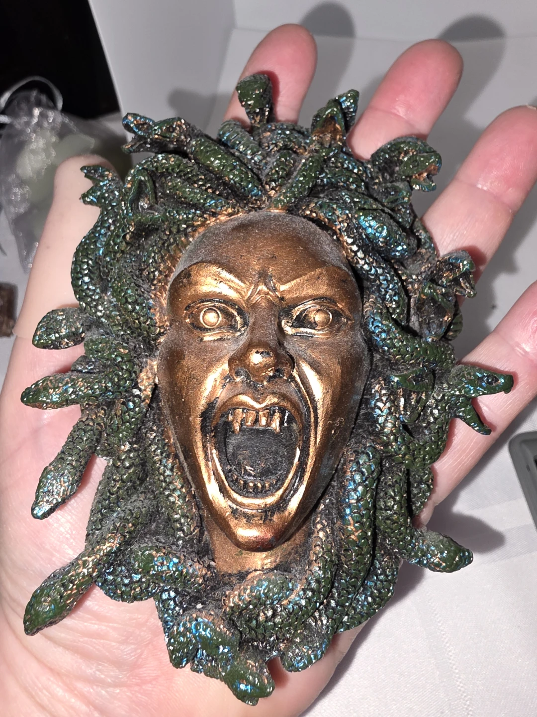 Medusa Head - photo 2