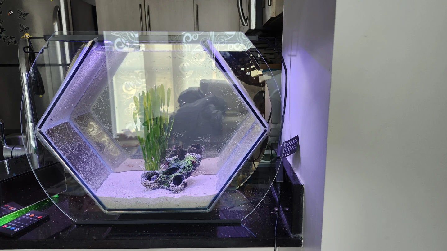 Hexagonal Glass Aquarium with Green LED Light - photo 2
