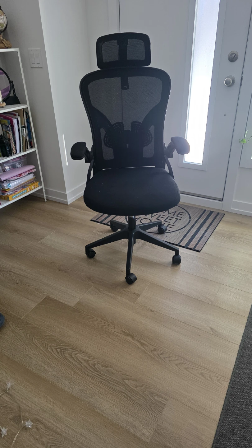 Black Ergonomic Mesh Office Chair with Headrest