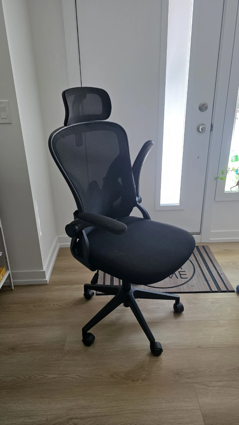 Black Ergonomic Mesh Office Chair with Headrest - photo 2