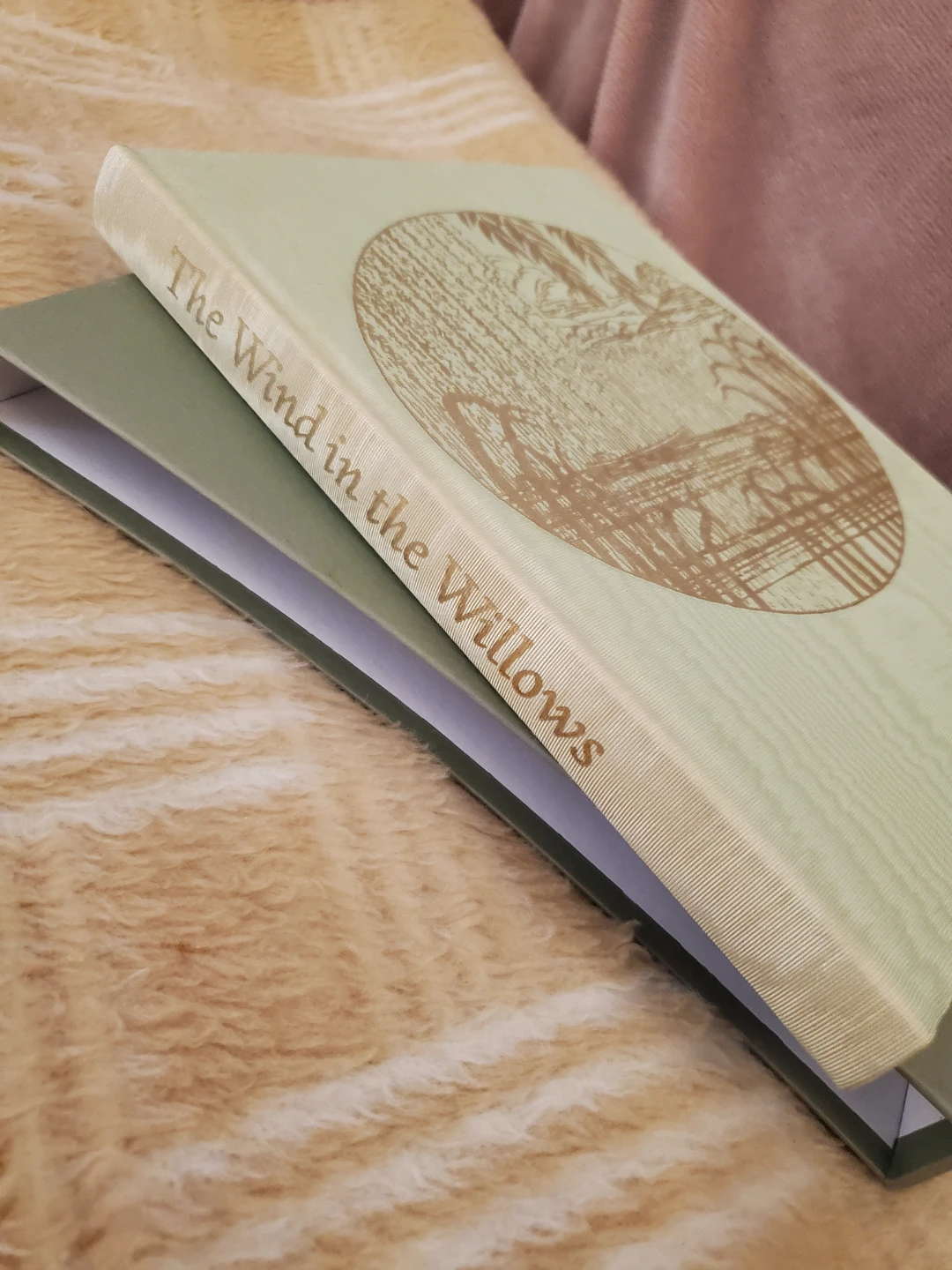 Wind in the Willows  - boxed book - photo 2