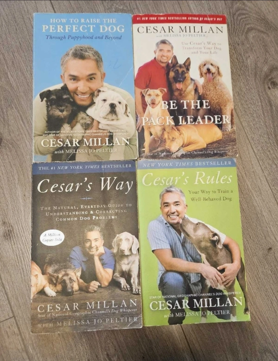 Cesar Millan Dog Training Books