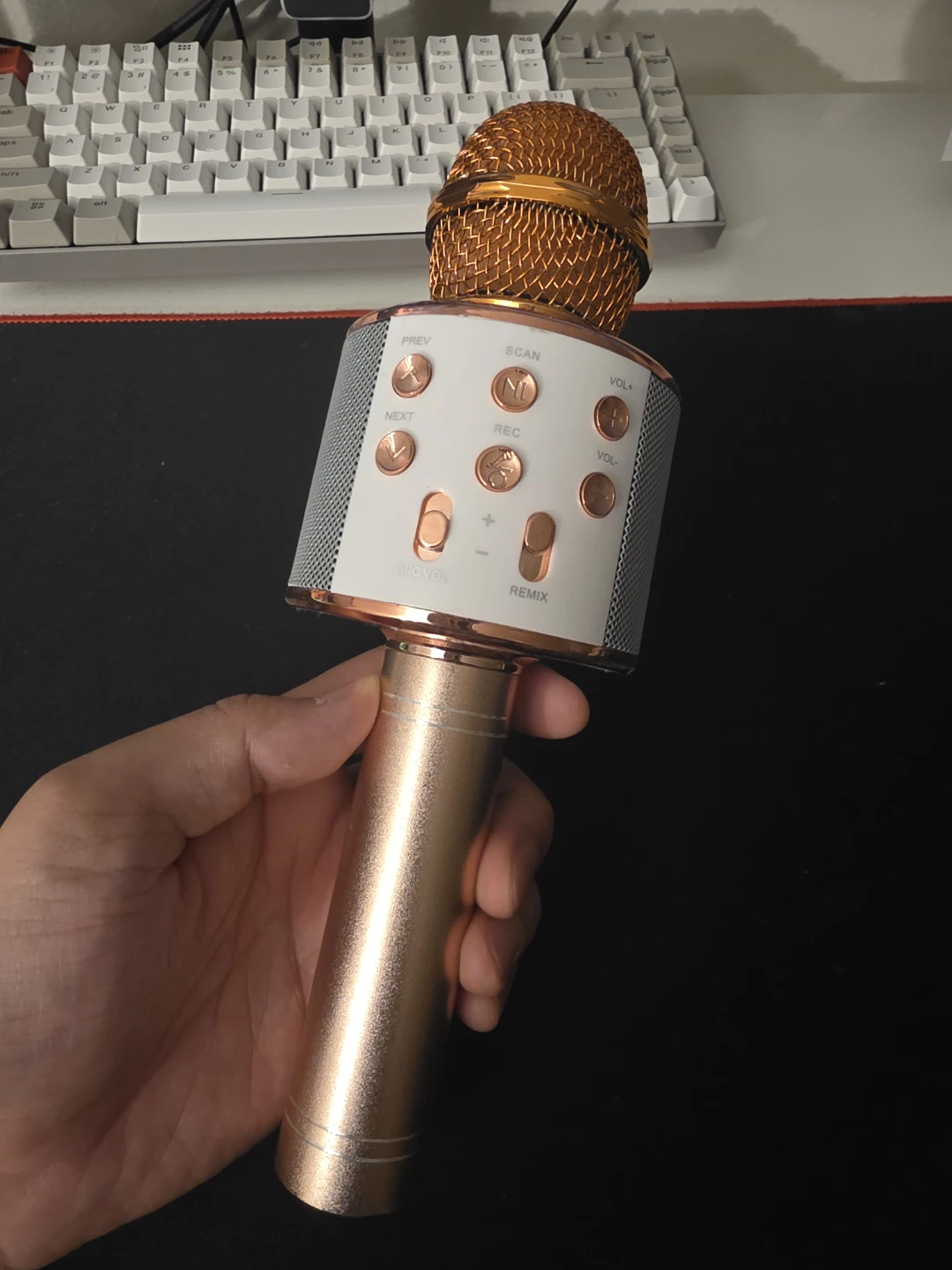 Wireless Karaoke Microphone Speaker (toy)