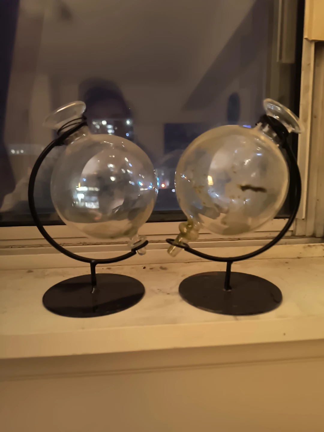 Glass Terrarium Planters