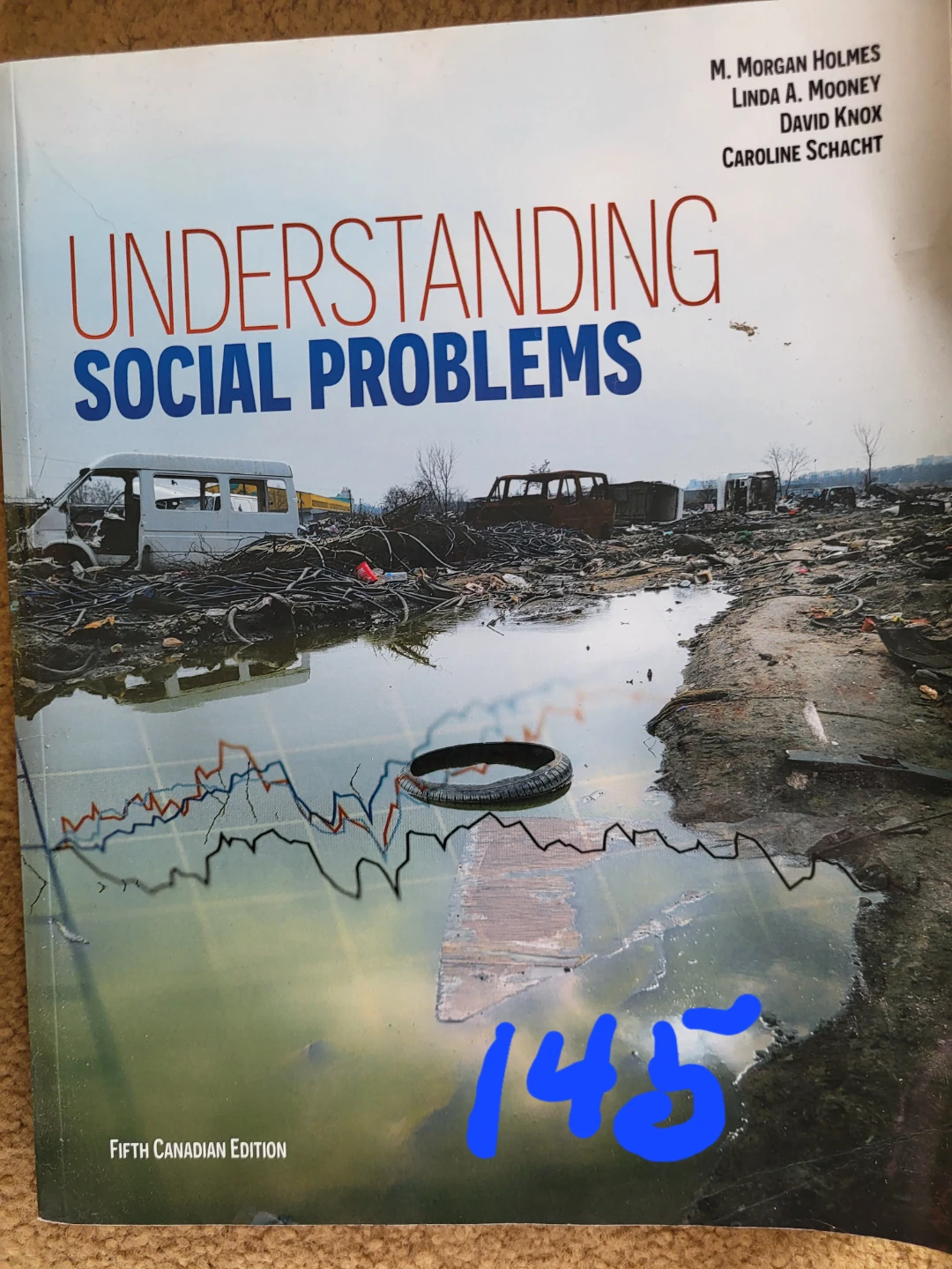 Understanding Social Problems - Fifth Canadian Edition - photo 2