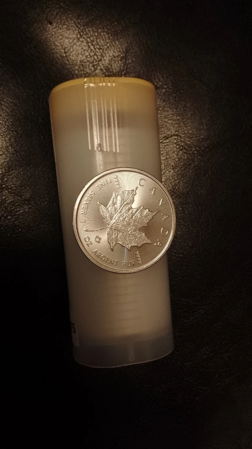 1 oz Fine Silver Maple Leaf Coin