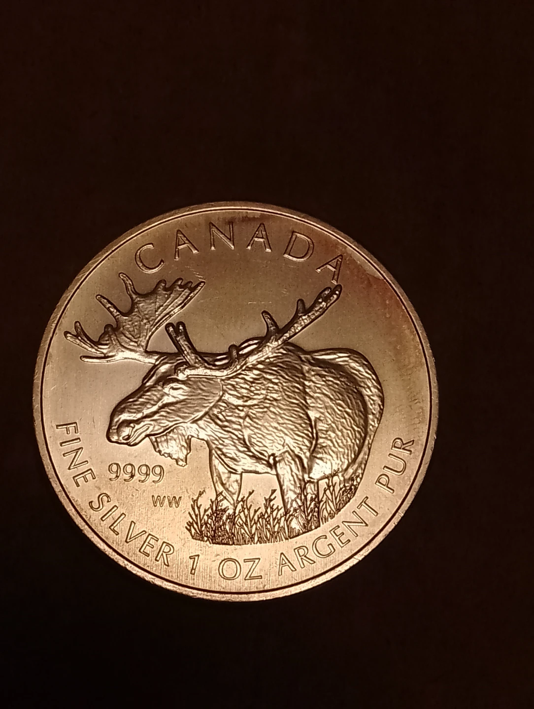 Canada 1 oz Fine Silver Coin