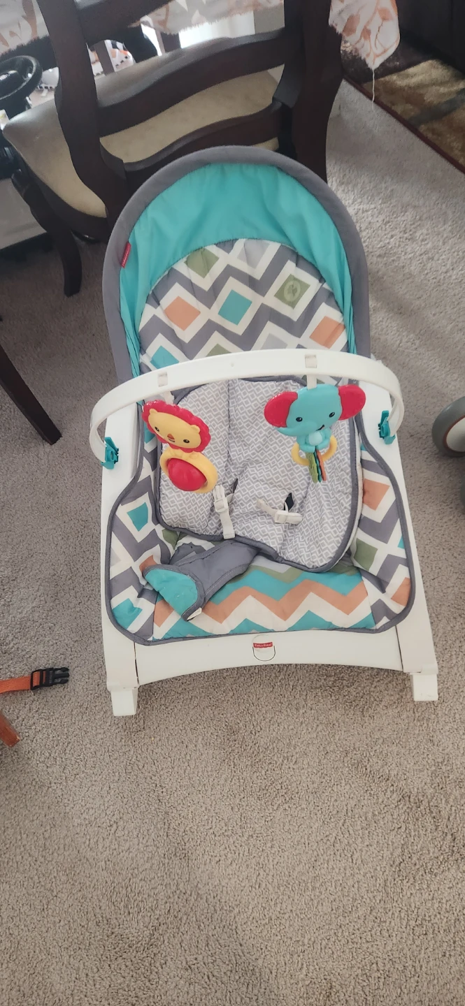 Fisher-Price Baby Rocker
