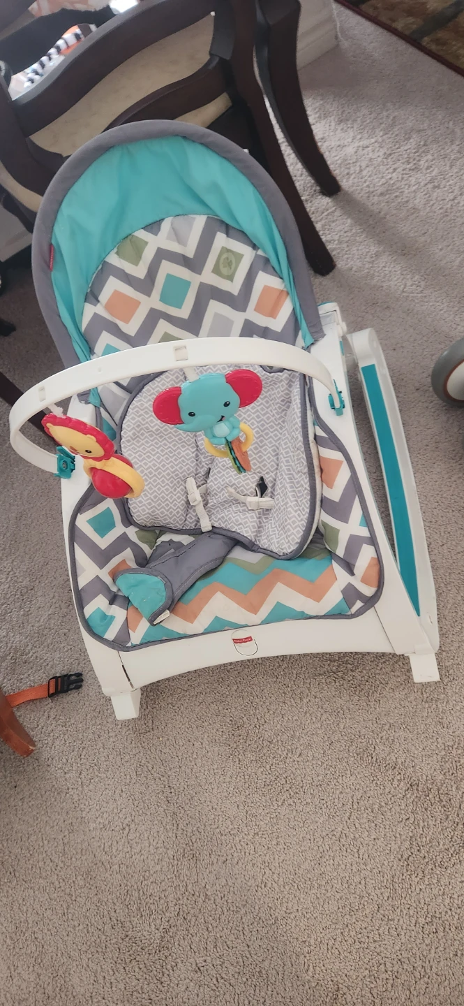 Fisher-Price Baby Rocker - photo 2