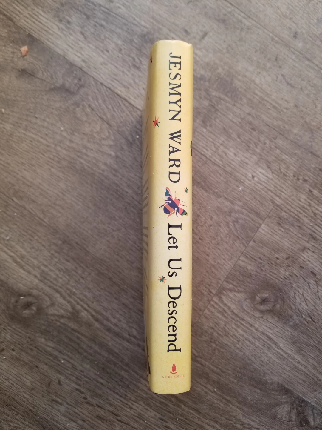 Let Us Descend by Jesmyn Ward Novel - photo 3