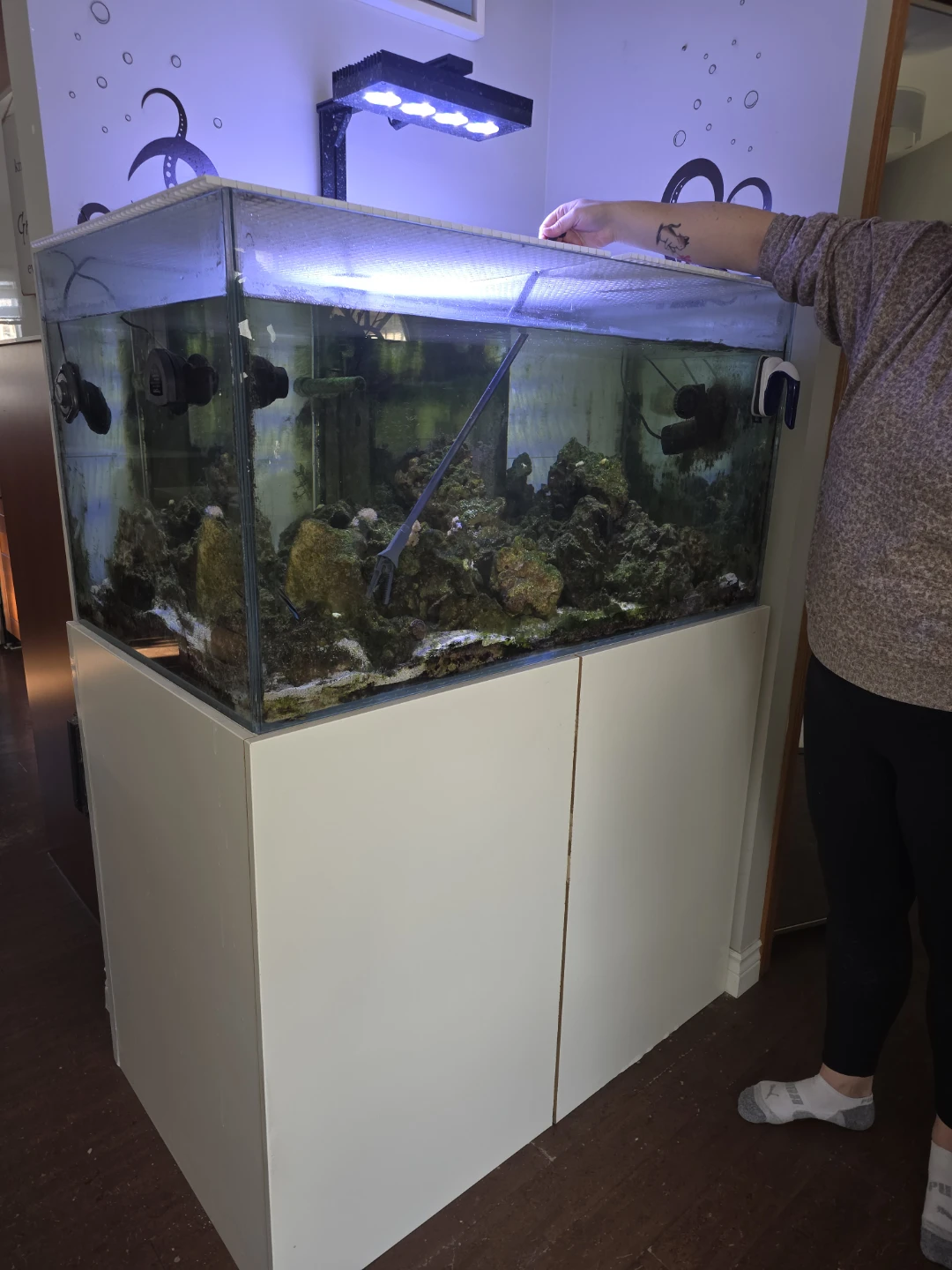 Saltwater Aquarium Tank with Stand - photo 2
