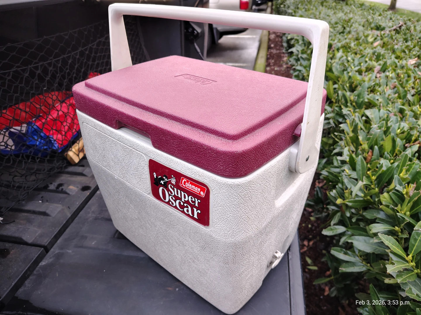 Rare! Coleman 24 qt Picnic Cooler with Drain