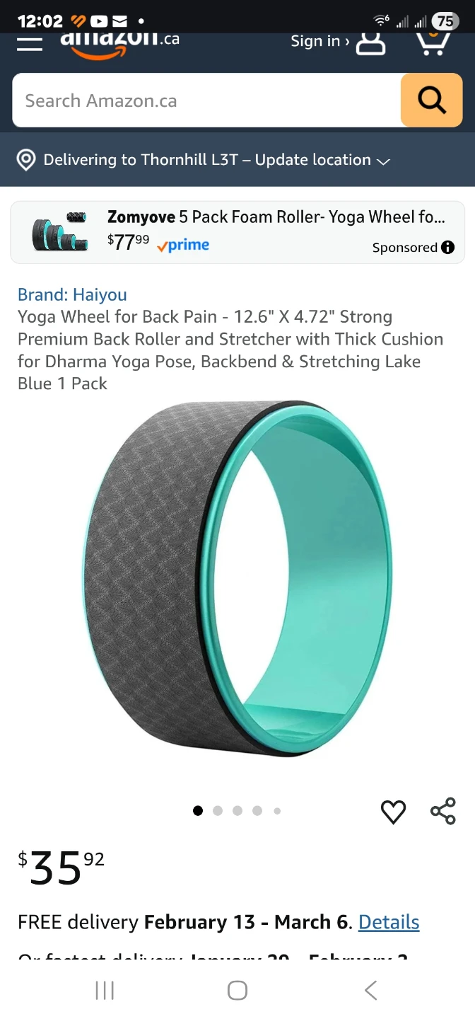 Yoga Wheel