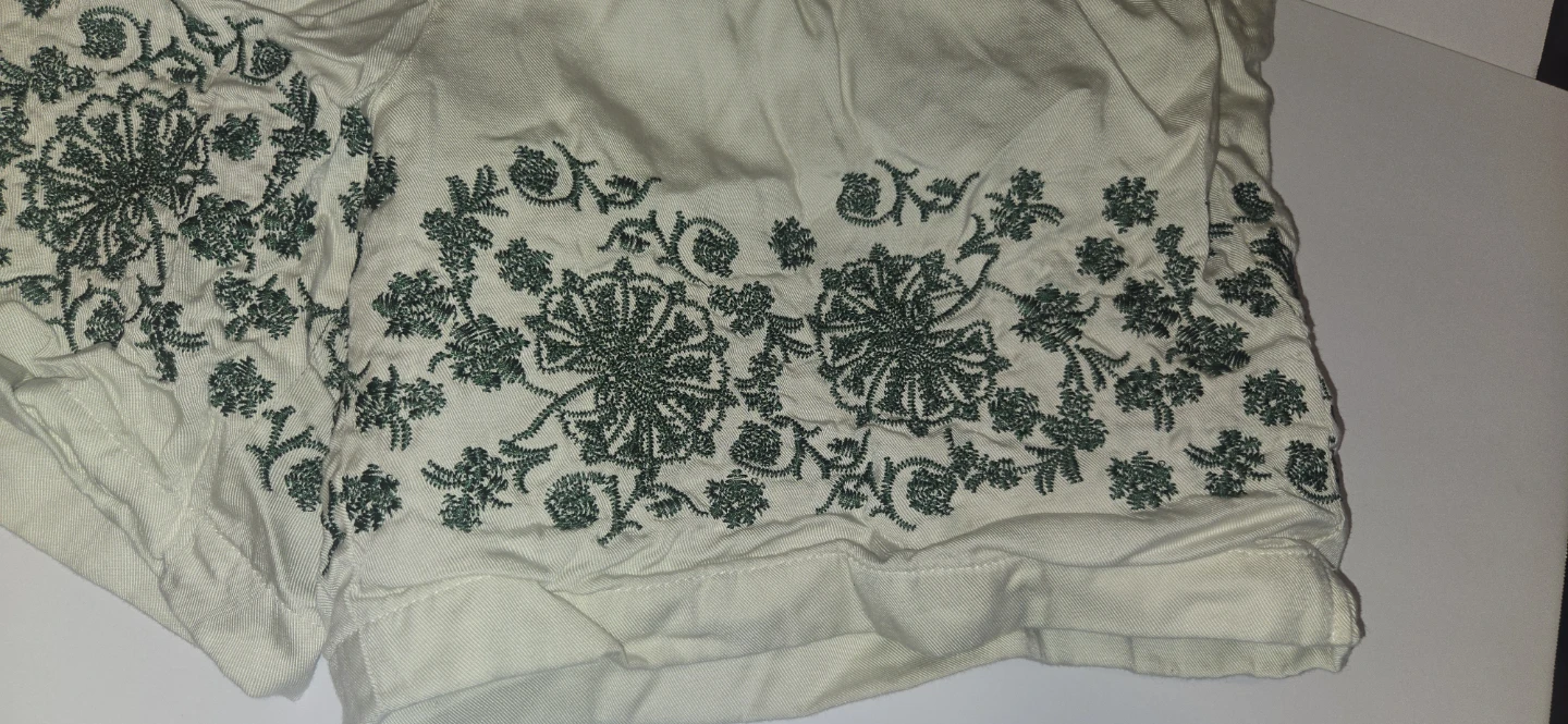 PacSun Cream Embroidered Shorts - photo 3