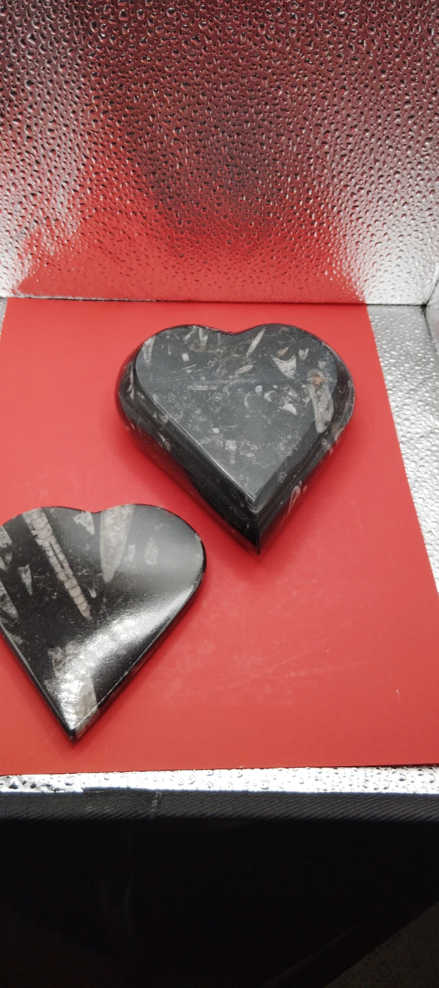 Heart Shaped orthoceras Fossil Stone Trinket Box - photo 2