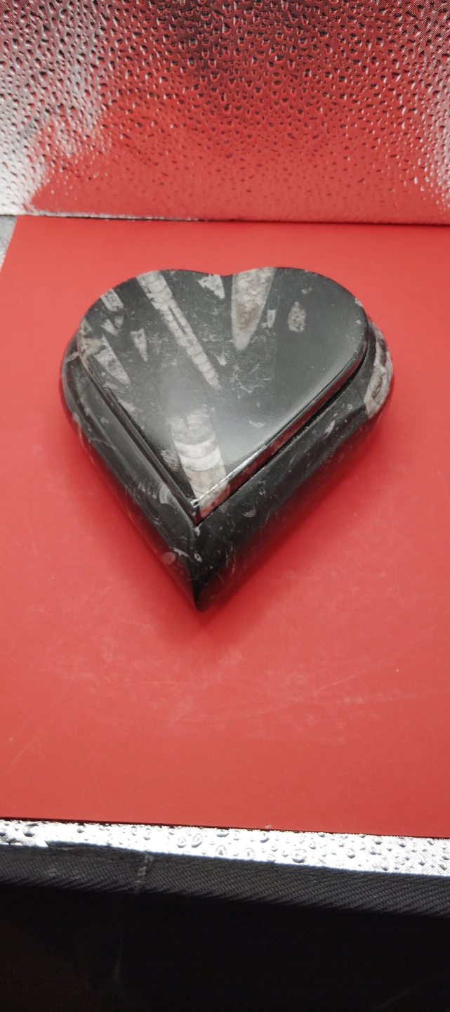 Heart Shaped orthoceras Fossil Stone Trinket Box - photo 5