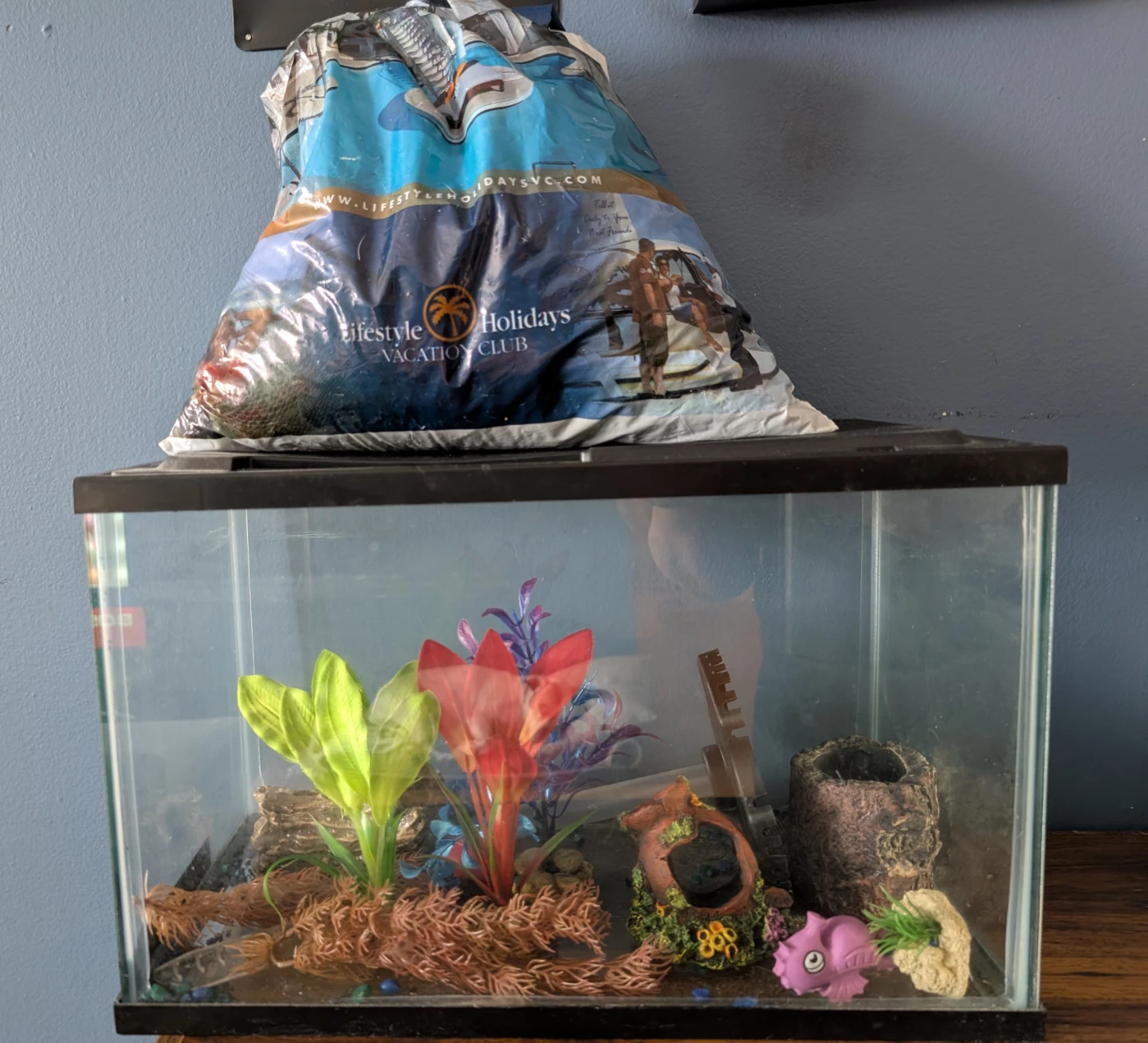 Glass Aquarium Tank with Decor