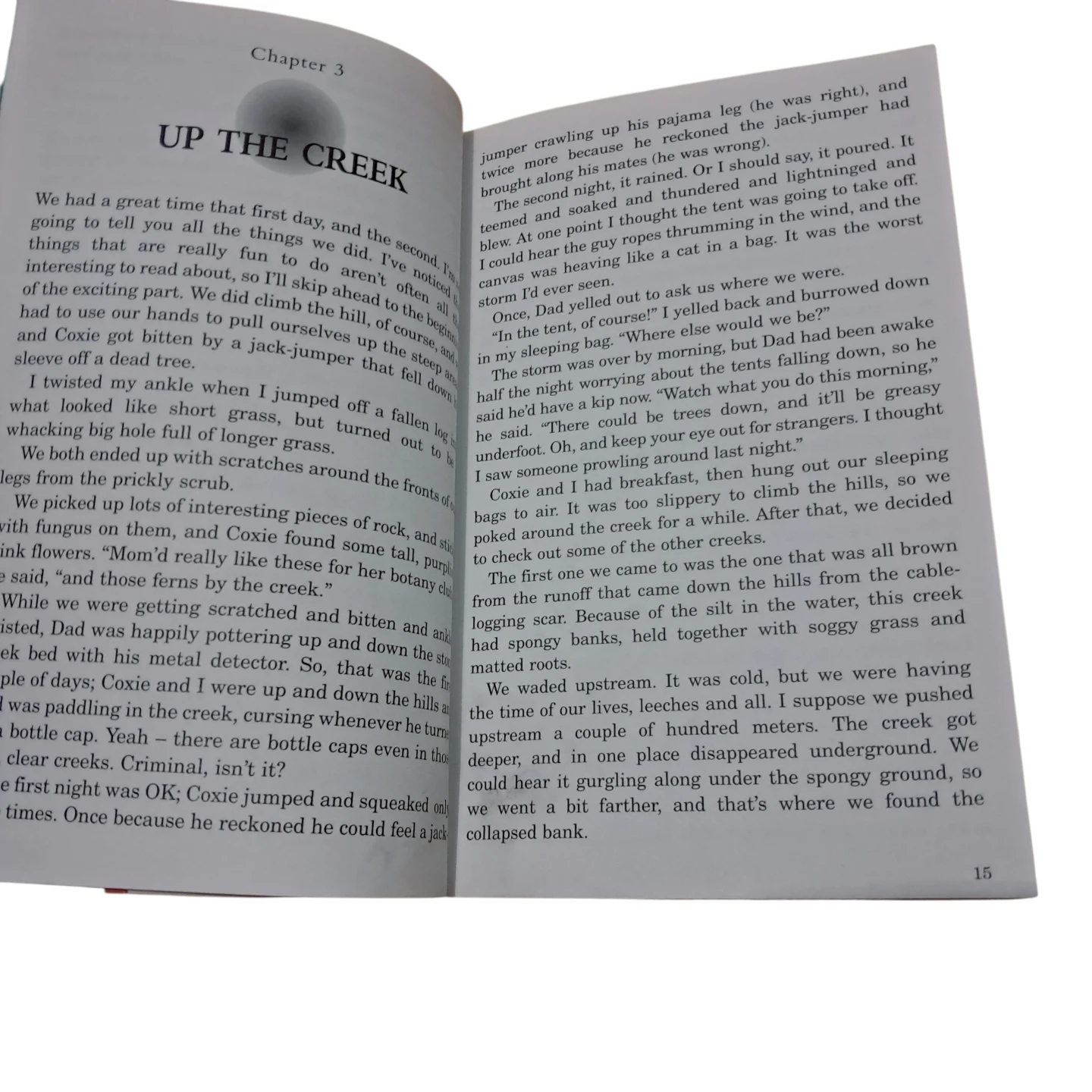 Timedetectors Book by Darrel and Sally Odgers - photo 3