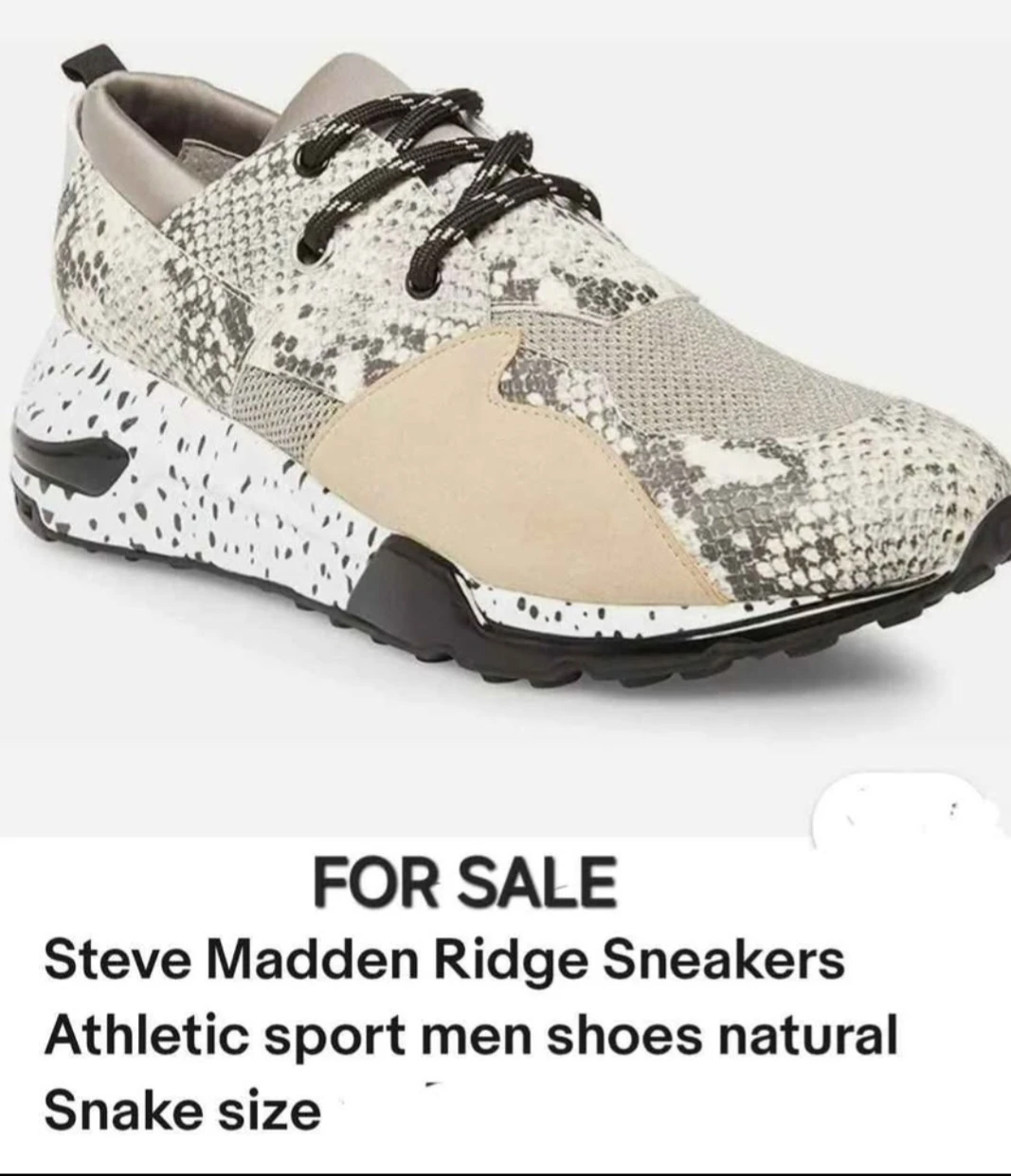 Steve Madden RIDGE Sneakers Snake Print Athletic Sport Shoes