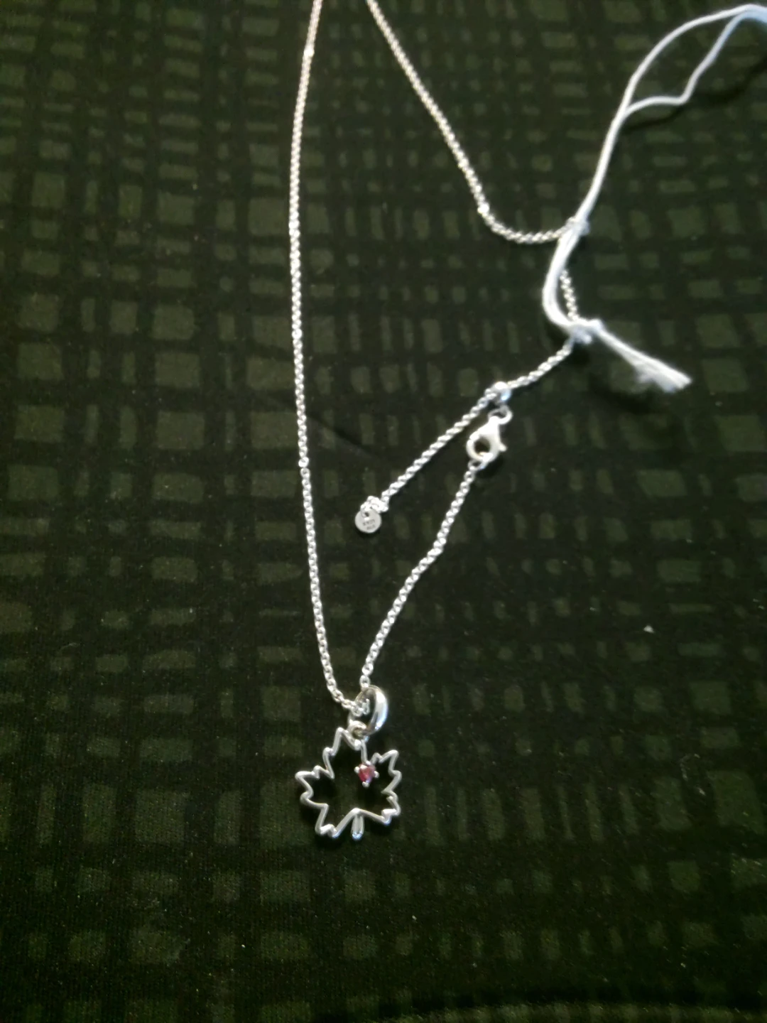 Pandora 925 Silver Necklace with charm - photo 2