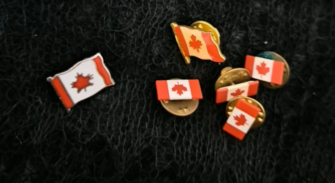 Assorted Gold-tone Pins & Canadian Flag Pins - photo 5