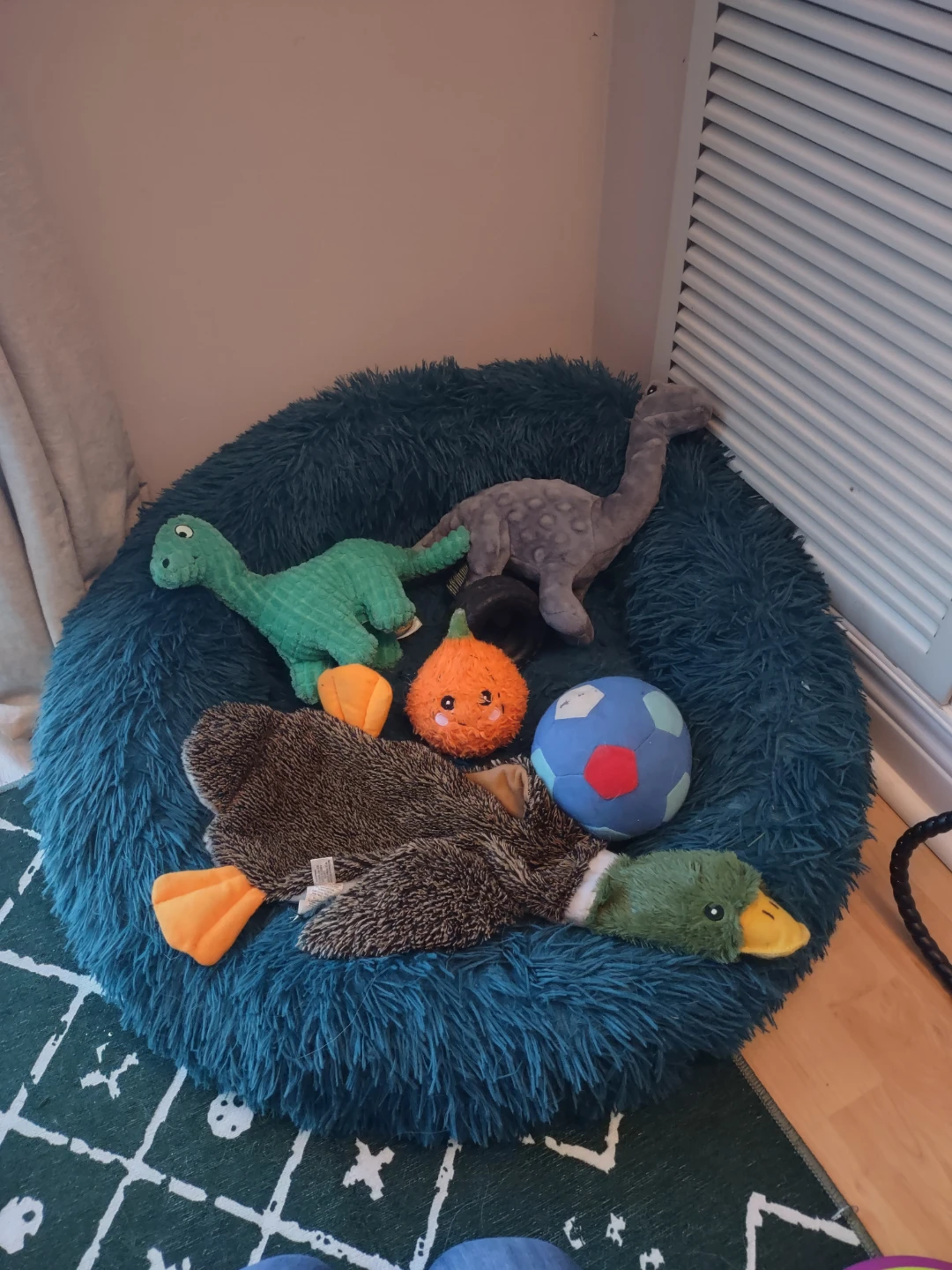 Dog bed and Toys Bundle
