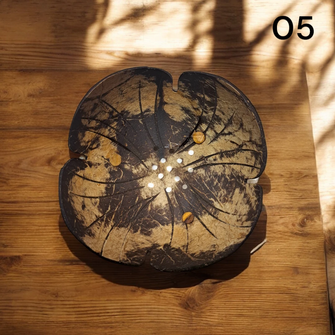 Handmade Coconut Shell Soap Dish 05🏆
