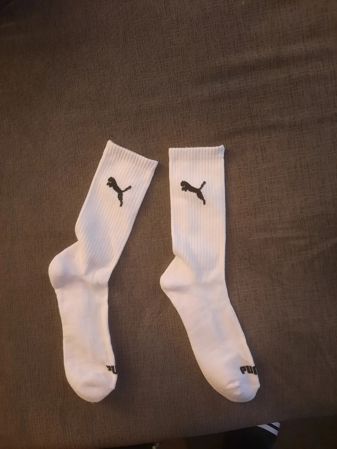 Puma White Crew Socks Pick up in st.albert