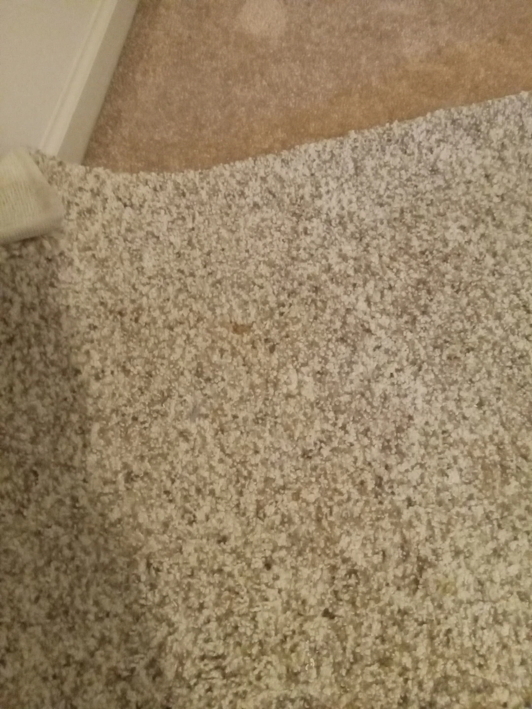 Textured Area Rug - photo 2