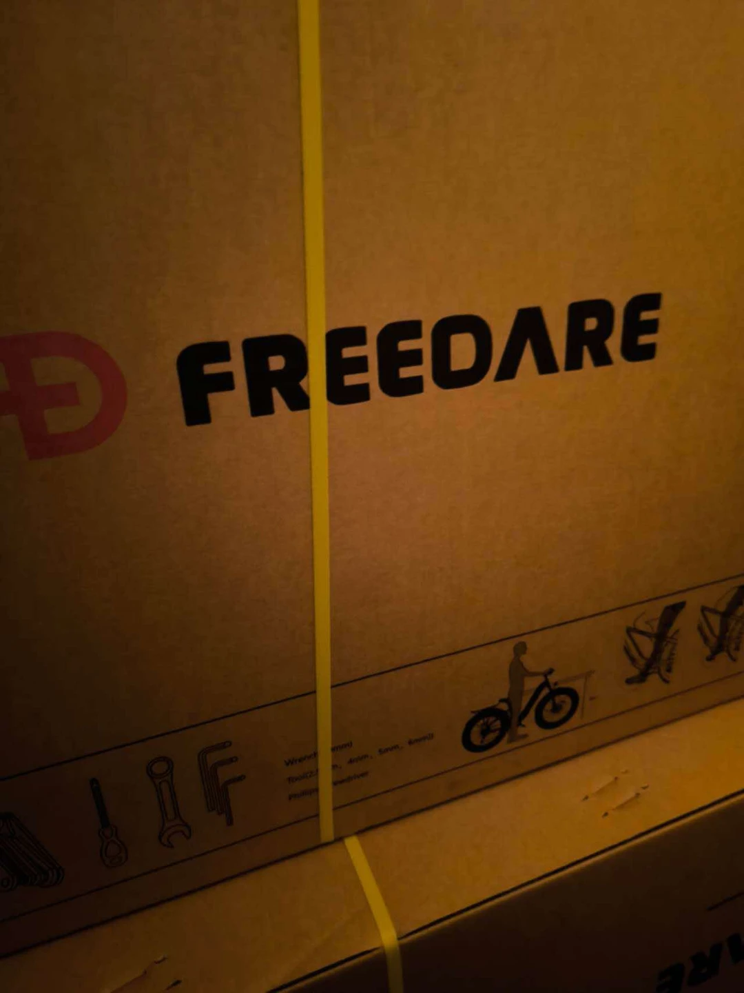 FREEDARE FD EDEN SPACE GREY Electric Bike