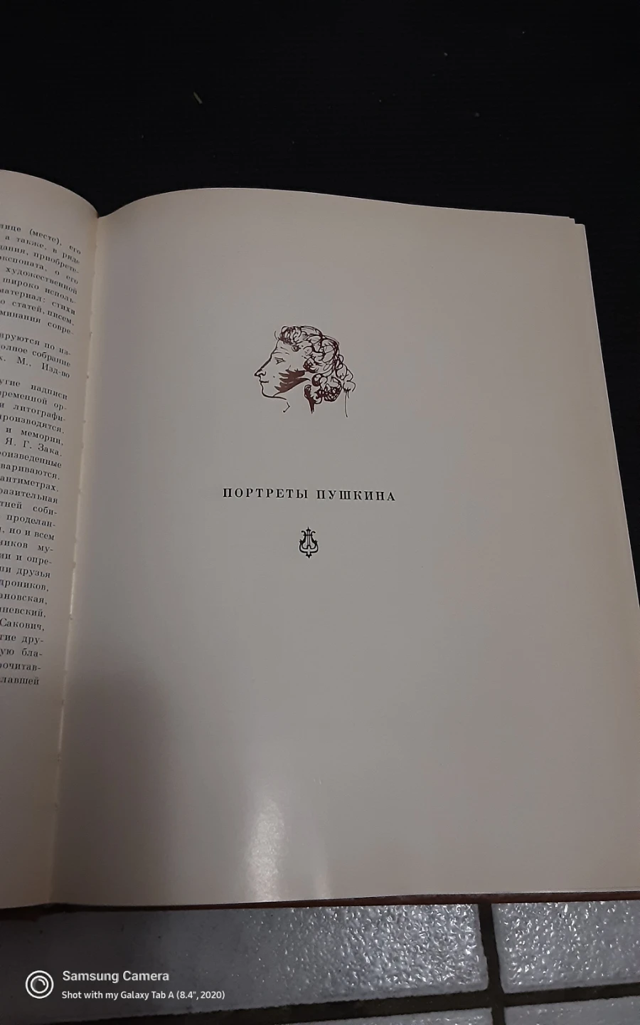 Portraits of Pushkin Book